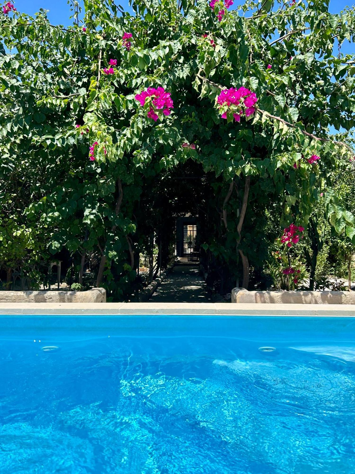 B&B Don Alessandro Surbo Extérieur photo